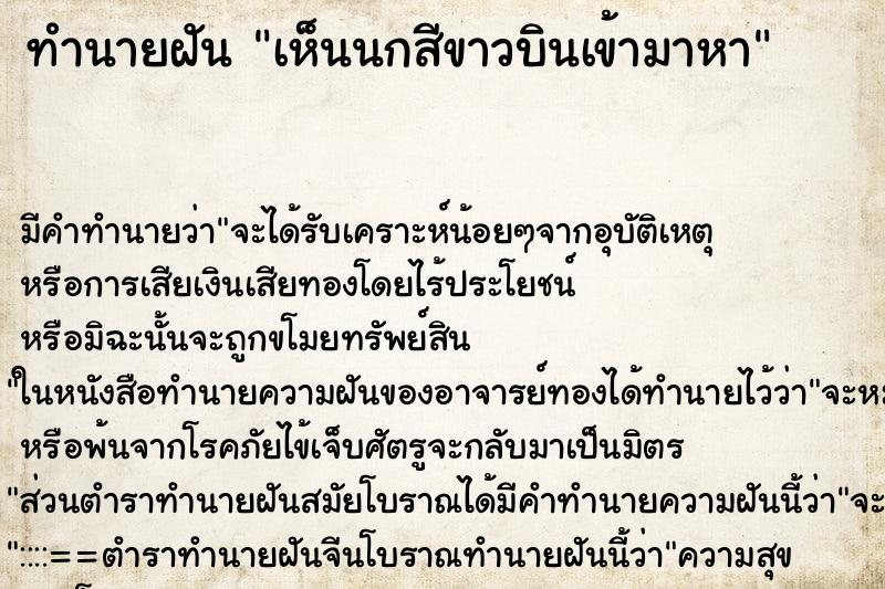 ทำนายฝัน เห็นนกสีขาวบินเข้ามาหา ตำราโบราณ แม่นที่สุดในโลก