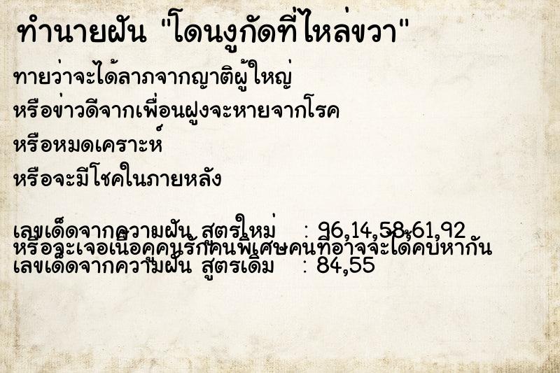 ทำนายฝันทำนายฝันโดนงูกัดที่ไหล่ขวา