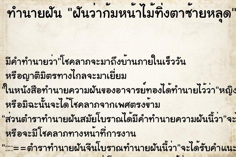 ทำนายฝันฝันว่าก้มหน้าไม้ทิ่งตาซ้ายหลุด ทำนายฝันทำนายฝันฝันว่าก้มหน้าไม้ทิ่งตาซ้ายหลุด