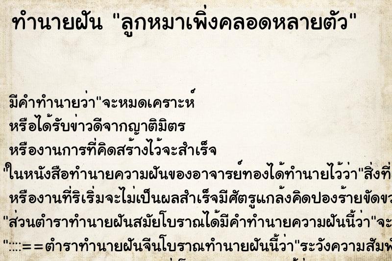 ทำนายฝันทำนายฝันลูกหมาเพิ่งคลอดหลายตัว