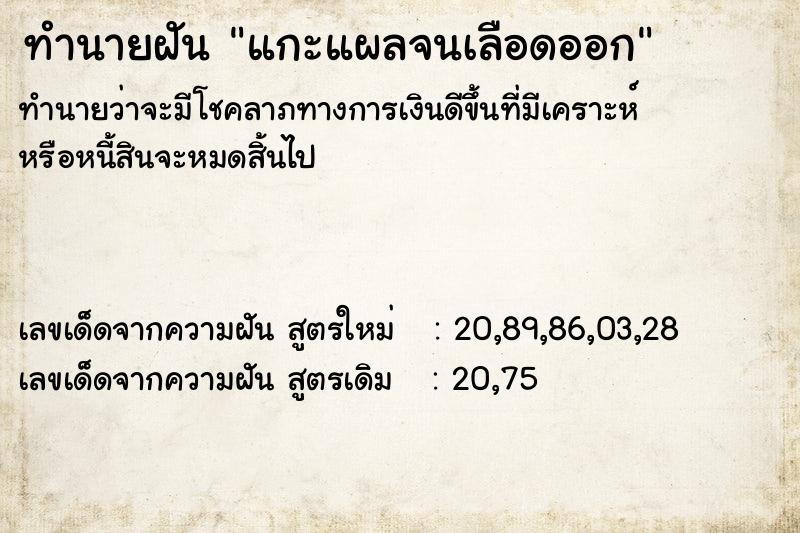 ทำนายฝัน แกะแผลจนเลือดออก ทำนายฝัน แกะแผลจนเลือดออก