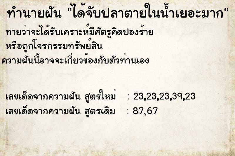 ทำนายฝันได้จับปลาตายในน้ำเยอะมาก ทำนายฝันทำนายฝันได้จับปลาตายในน้ำเยอะมาก