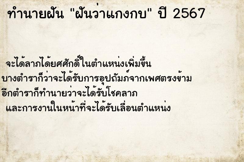 ทำนายฝัน ฝันว่าแกงกบ ทำนายฝัน ฝันว่าแกงกบ