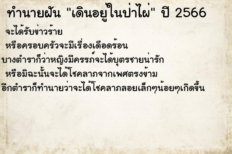 ทำนายฝันทำนายฝันเดินอยู่ในป่าไผ่
