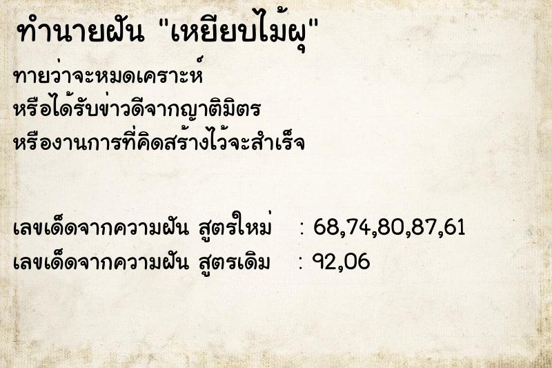 ทำนายฝันเหยียบไม้ผุ ทำนายฝันทำนายฝันเหยียบไม้ผุ