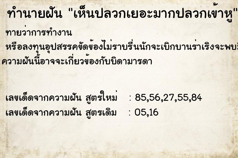 ทำนายฝันทำนายฝันเห็นปลวกเยอะมากปลวกเข้าหู
