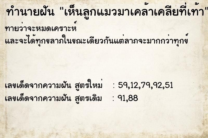 ทำนายฝันเห็นลูกแมวมาเคล้าเคลียที่เท้า ทำนายฝันทำนายฝันเห็นลูกแมวมาเคล้าเคลียที่เท้า