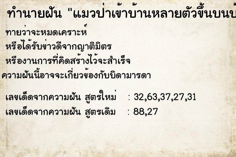 ทำนายฝันทำนายฝันแมวป่าเข้าบ้านหลายตัวขึ้นบนบ้านสี่ตัว