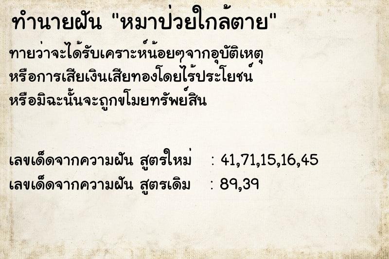 ทำนายฝันทำนายฝันหมาป่วยใกล้ตาย