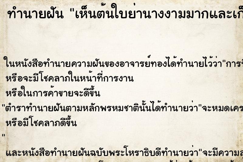 ทำนายฝัน เห็นต้นใบย่านางงามมากและเก็บใบย่านางกิน ทำนายฝัน เห็นต้นใบย่านางงามมากและเก็บใบย่านางกิน