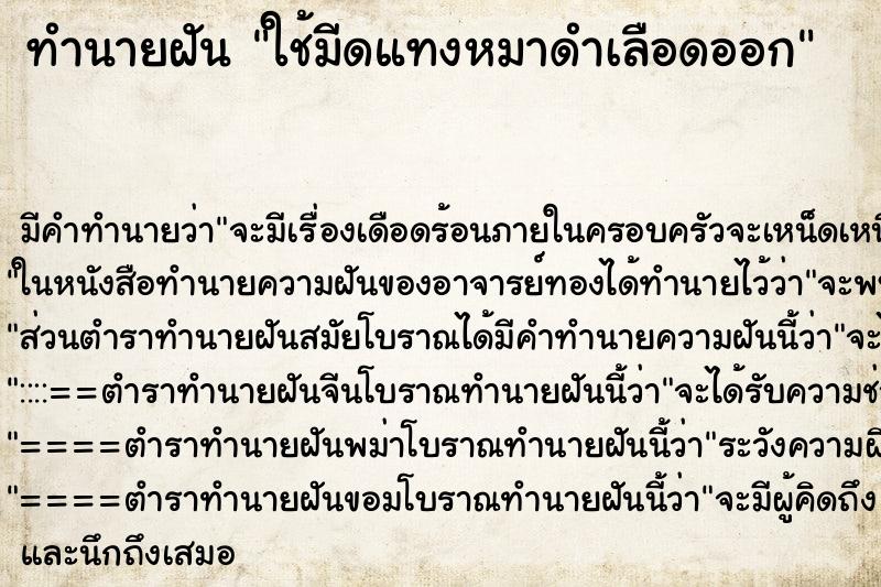 ทำนายฝันใช้มีดแทงหมาดำเลือดออก ทำนายฝันทำนายฝันใช้มีดแทงหมาดำเลือดออก