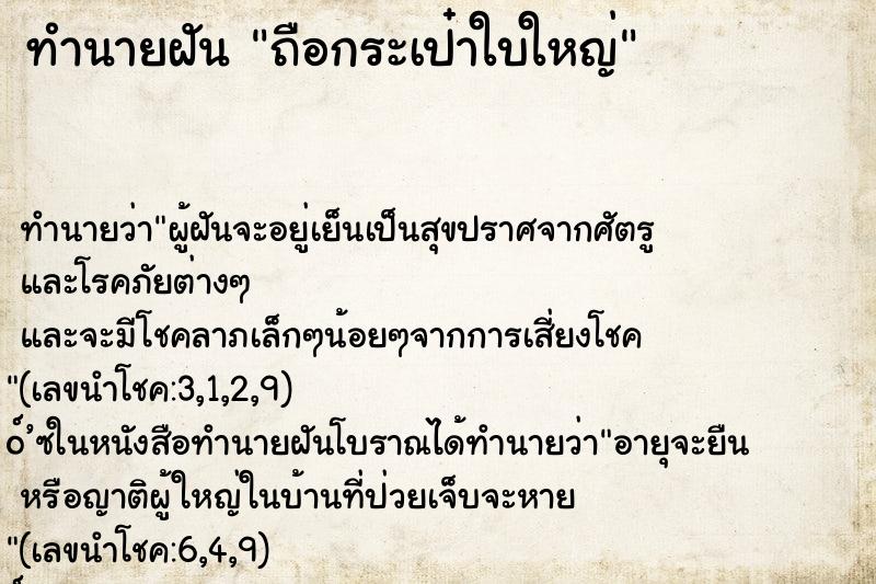 ทำนายฝัน ถือกระเป๋าใบใหญ่ ทำนายฝัน ถือกระเป๋าใบใหญ่