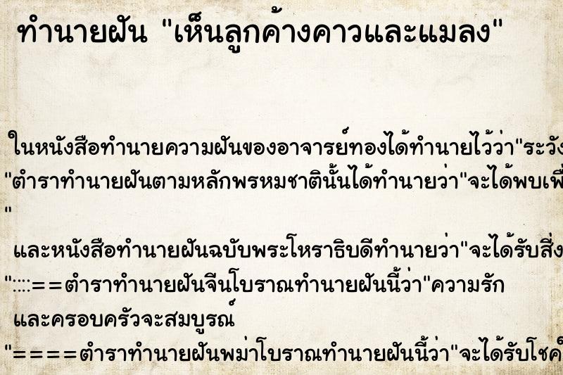 ทำนายฝันเห็นลูกค้างคาวและแมลง ทำนายฝันทำนายฝันเห็นลูกค้างคาวและแมลง