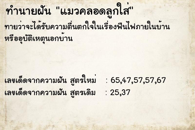 ทำนายฝันทำนายฝันแมวคลอดลูกใส่