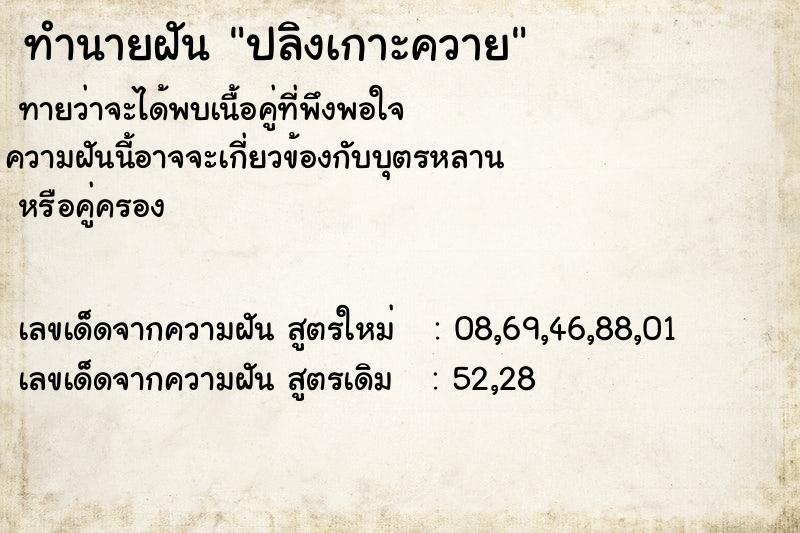 ทำนายฝันปลิงเกาะควาย ทำนายฝันทำนายฝันปลิงเกาะควาย