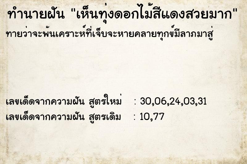 ทำนายฝันทำนายฝันเห็นทุ่งดอกไม้สีแดงสวยมาก