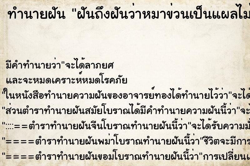 ทำนายฝันฝันถึงฝันว่าหมาข่วนเป็นแผลไม่มาก ทำนายฝันทำนายฝันฝันถึงฝันว่าหมาข่วนเป็นแผลไม่มาก