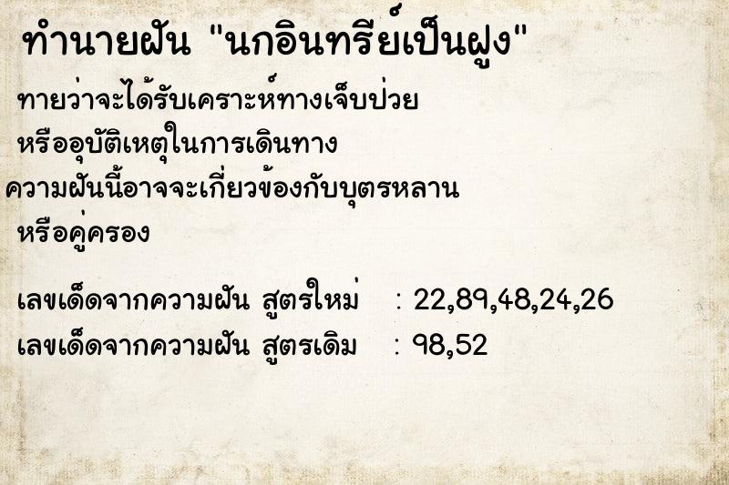ทำนายฝันนกอินทรีย์เป็นฝูง ทำนายฝันทำนายฝันนกอินทรีย์เป็นฝูง