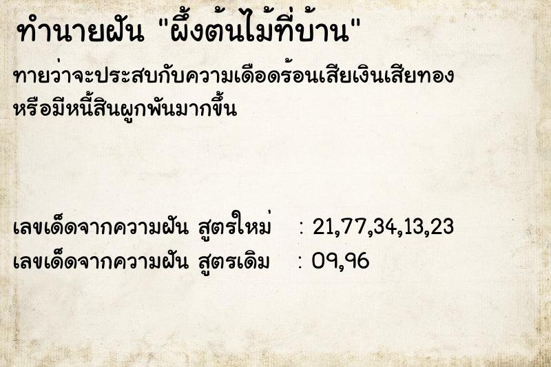 ทำนายฝันผึ้งต้นไม้ที่บ้าน ทำนายฝันทำนายฝันผึ้งต้นไม้ที่บ้าน