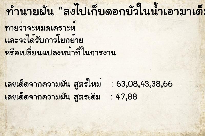 ทำนายฝันทำนายฝันลงไปเก็บดอกบัวในน้ำเอามาเต็มมือ