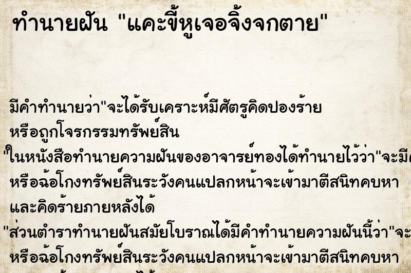 ทำนายฝัน แคะขี้หูเจอจิ้งจกตาย ทำนายฝัน แคะขี้หูเจอจิ้งจกตาย