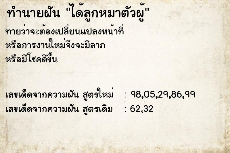 ทำนายฝัน ได้ลูกหมาตัวผู้ ทำนายฝัน ได้ลูกหมาตัวผู้