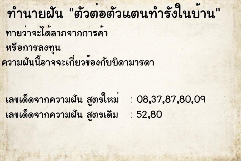 ทำนายฝันตัวต่อตัวแตนทำรังในบ้าน ทำนายฝันทำนายฝันตัวต่อตัวแตนทำรังในบ้าน