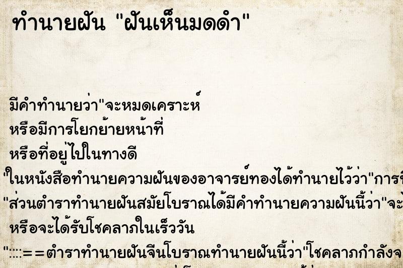 ทำนายฝัน ฝันเห็นมดดํา ทำนายฝัน ฝันเห็นมดดํา