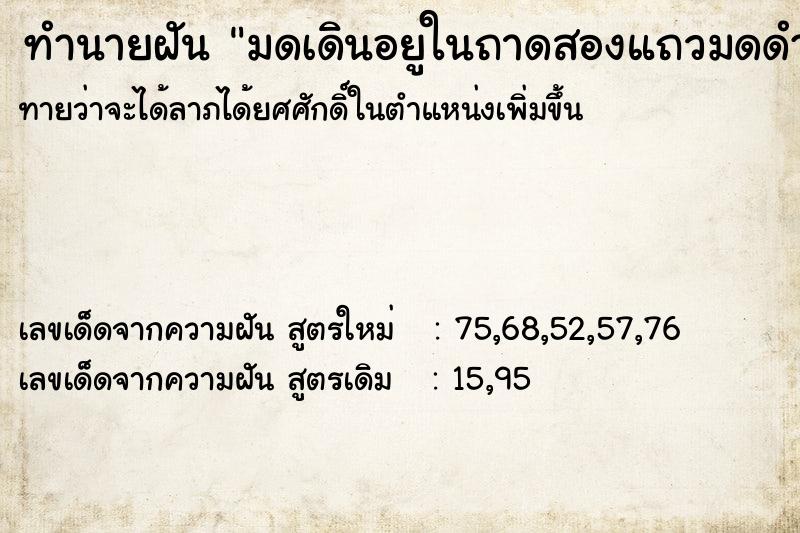 ทำนายฝันทำนายฝันมดเดินอยูในถาดสองแถวมดดำ