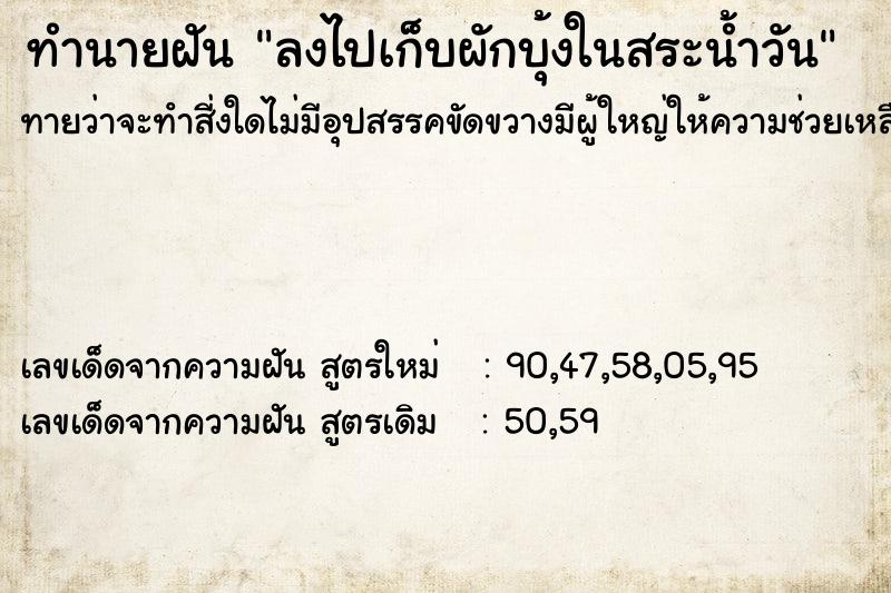 ทำนายฝันลงไปเก็บผักบุ้งในสระน้ำวัน ทำนายฝันทำนายฝันลงไปเก็บผักบุ้งในสระน้ำวัน