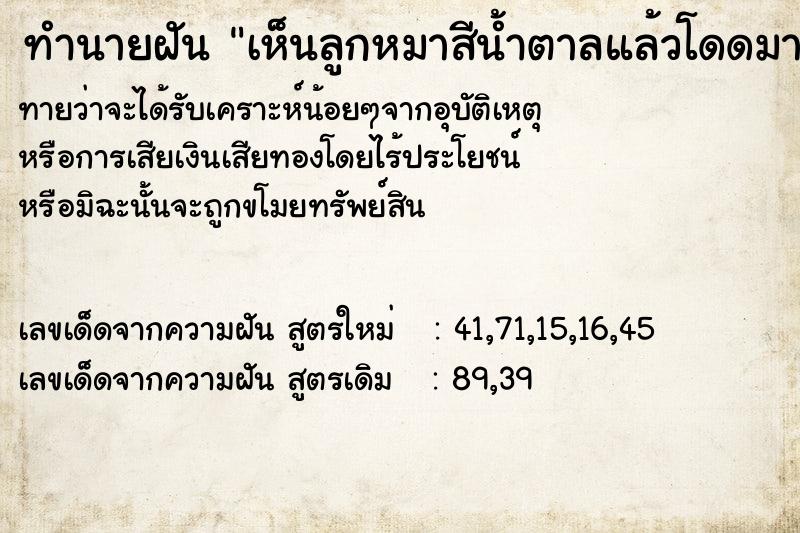 ทำนายฝันเห็นลูกหมาสีน้ำตาลแล้วโดดมานั่งตัก ทำนายฝันทำนายฝันเห็นลูกหมาสีน้ำตาลแล้วโดดมานั่งตัก