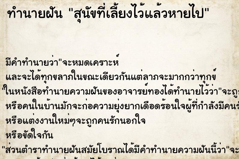 ทำนายฝัน สุนัขที่เลี้ยงไว้แล้วหายไป ทำนายฝัน สุนัขที่เลี้ยงไว้แล้วหายไป