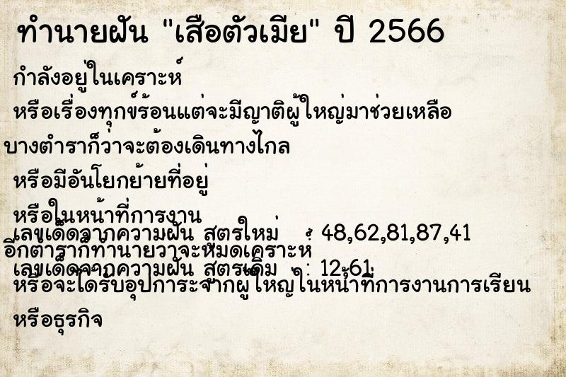 ทำนายฝันเสือตัวเมีย ทำนายฝันทำนายฝันเสือตัวเมีย
