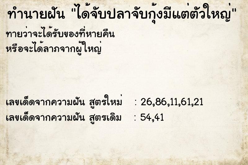 ทำนายฝันทำนายฝันได้จับปลาจับกุ้งมีแต่ตัวใหญ่