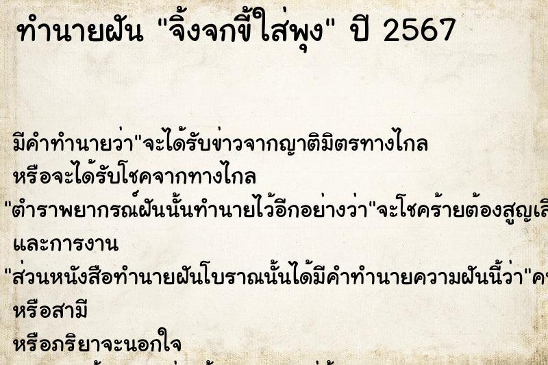 ทำนายฝัน จิ้งจกขี้ใส่พุง ทำนายฝัน จิ้งจกขี้ใส่พุง