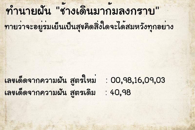 ทำนายฝันทำนายฝันช้างเดินมาก้มลงกราบ