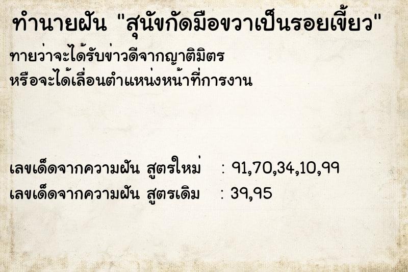 ทำนายฝันทำนายฝันสุนัขกัดมือขวาเป็นรอยเขี้ยว