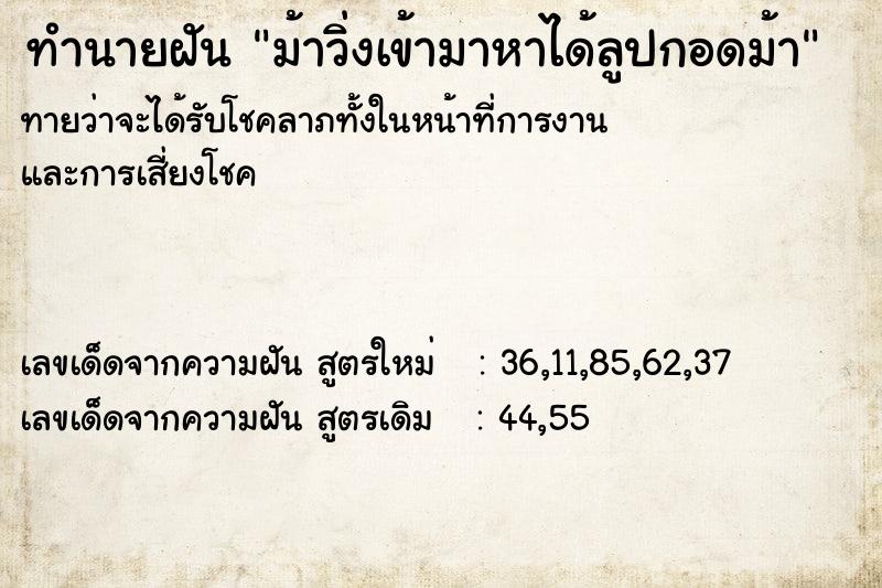 ทำนายฝัน ม้าวิ่งเข้ามาหาได้ลูปกอดม้า ตำราโบราณ แม่นที่สุดในโลก