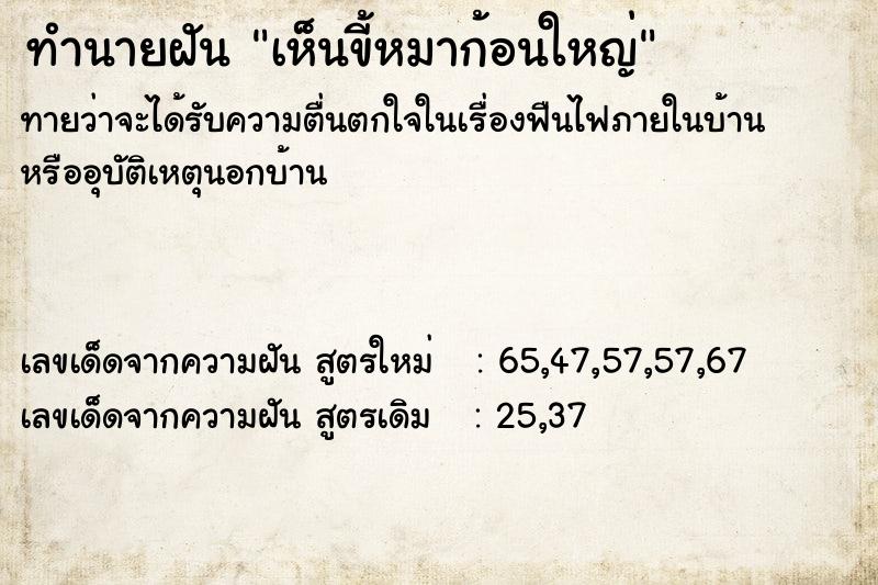 ทำนายฝันเห็นขี้หมาก้อนใหญ่ ทำนายฝันทำนายฝันเห็นขี้หมาก้อนใหญ่