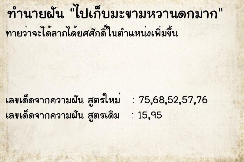 ทำนายฝันทำนายฝันไปเก็บมะขามหวานดกมาก
