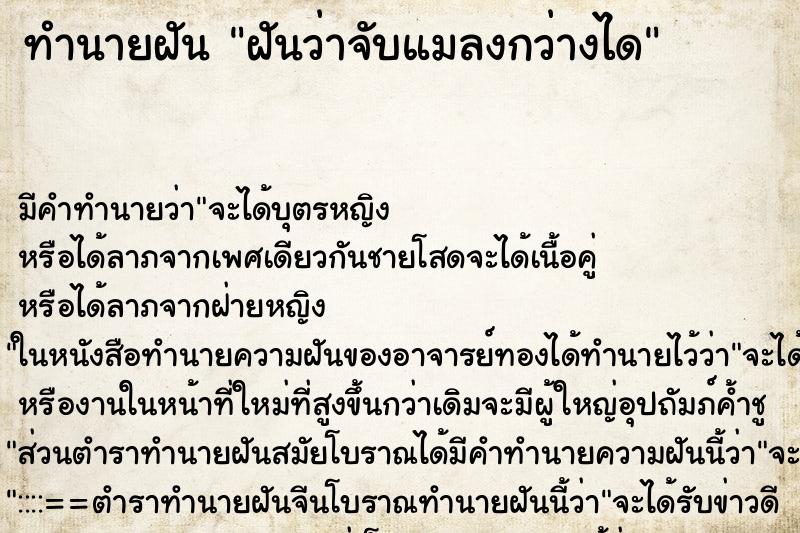 ทำนายฝันฝันว่าจับแมลงกว่างได ทำนายฝันทำนายฝันฝันว่าจับแมลงกว่างได
