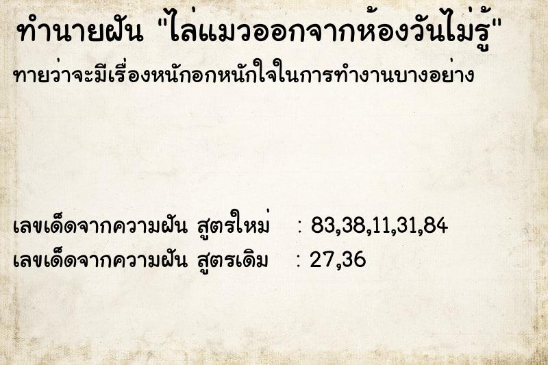 ทำนายฝันไล่แมวออกจากห้องวันไม่รู้ ทำนายฝันทำนายฝันไล่แมวออกจากห้องวันไม่รู้