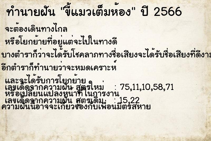 ทำนายฝันขี้แมวเต็มห้อง ทำนายฝันทำนายฝันขี้แมวเต็มห้อง