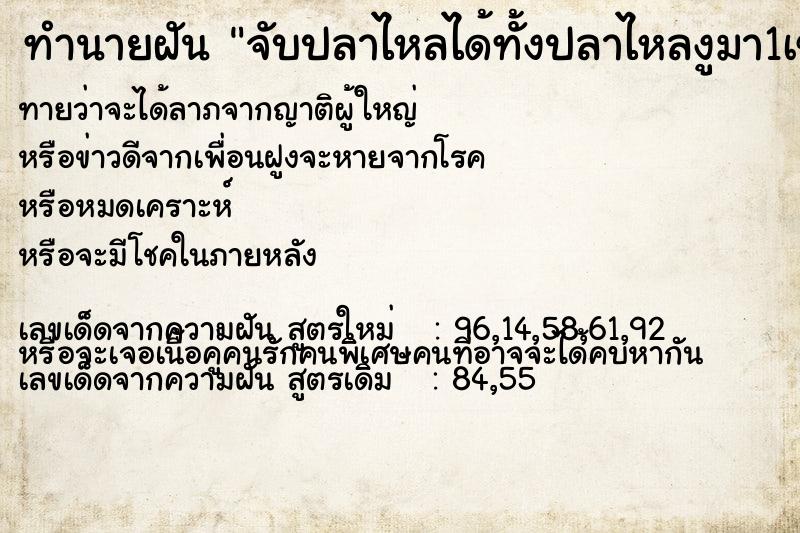 ทำนายฝันจับปลาไหลได้ทั้งปลาไหลงูมา1เข่ง ทำนายฝันทำนายฝันจับปลาไหลได้ทั้งปลาไหลงูมา1เข่ง