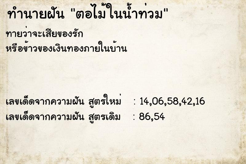 ทำนายฝันตอไม้ในน้ำท่วม ทำนายฝันทำนายฝันตอไม้ในน้ำท่วม