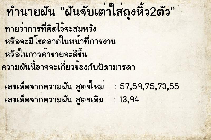 ทำนายฝัน ฝันจับเต่าใส่ถุงหิ้ว2ตัว ทำนายฝัน ฝันจับเต่าใส่ถุงหิ้ว2ตัว