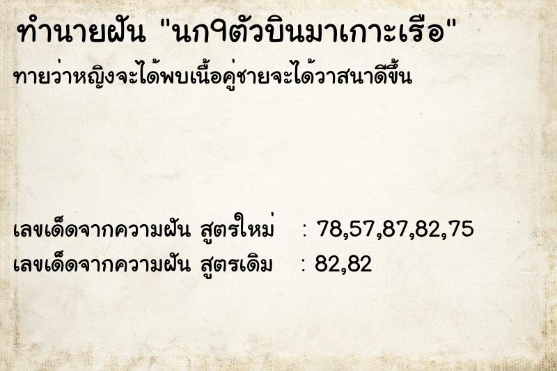 ทำนายฝันทำนายฝันนก9ตัวบินมาเกาะเรือ