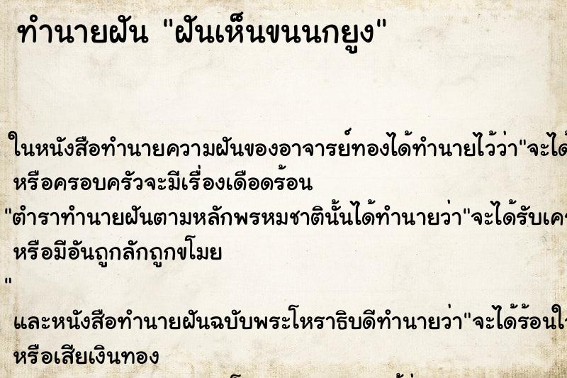 ทำนายฝันฝันเห็นขนนกยูง ทำนายฝันทำนายฝันฝันเห็นขนนกยูง