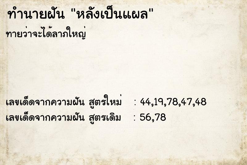 ทำนายฝัน หลังเป็นแผล ทำนายฝัน หลังเป็นแผล