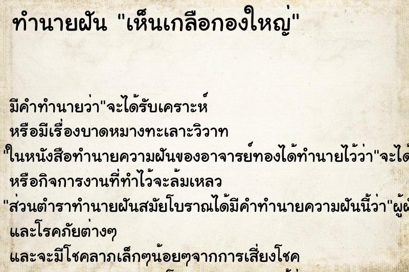 ทำนายฝัน เห็นเกลือกองใหญ่ ทำนายฝัน เห็นเกลือกองใหญ่